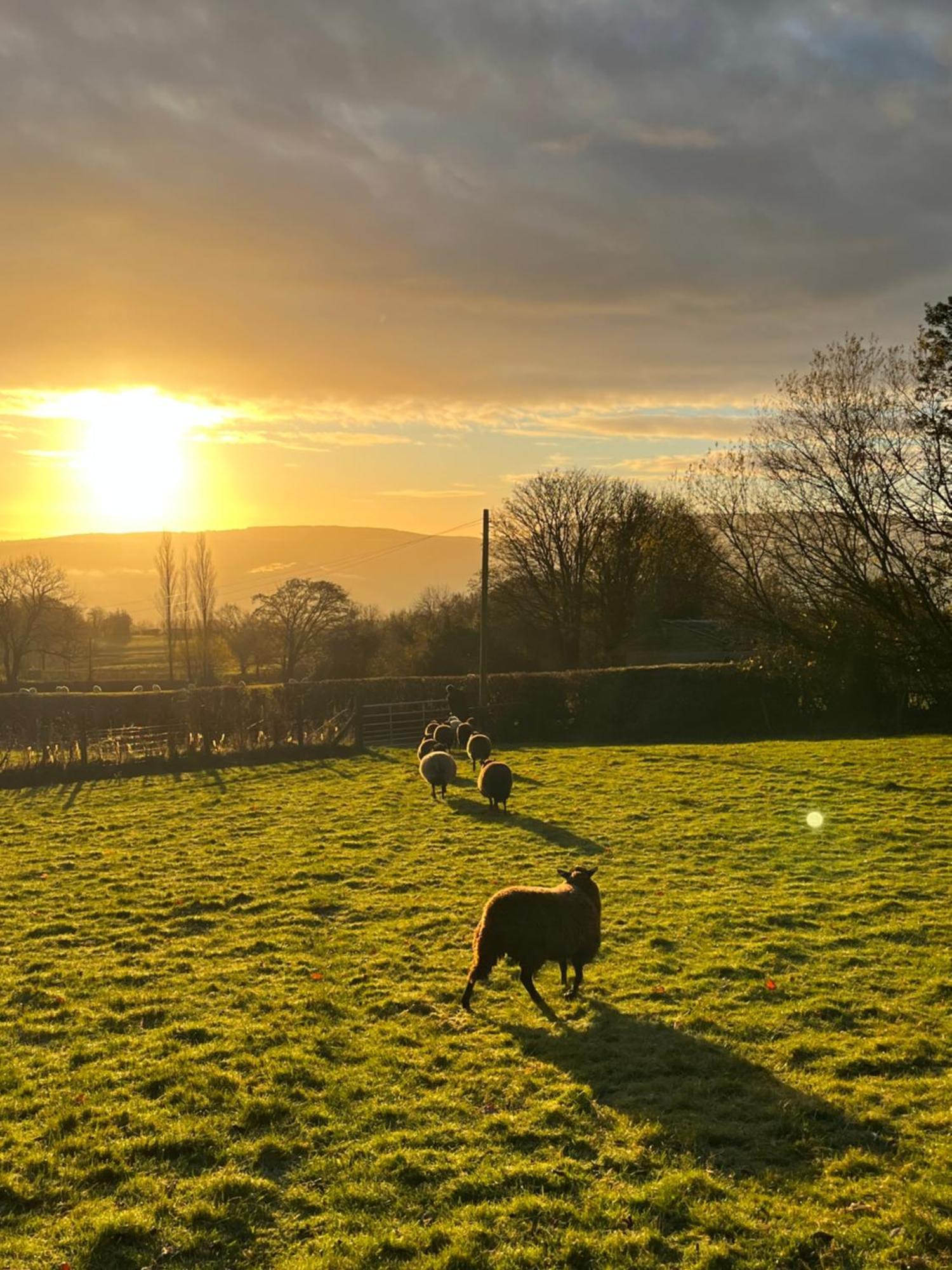 Wye View Lodge, Hay View Lodges Hereford Bagian luar foto